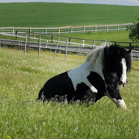 Lavendelmond Glamping Luksusowy namiot Barntrup