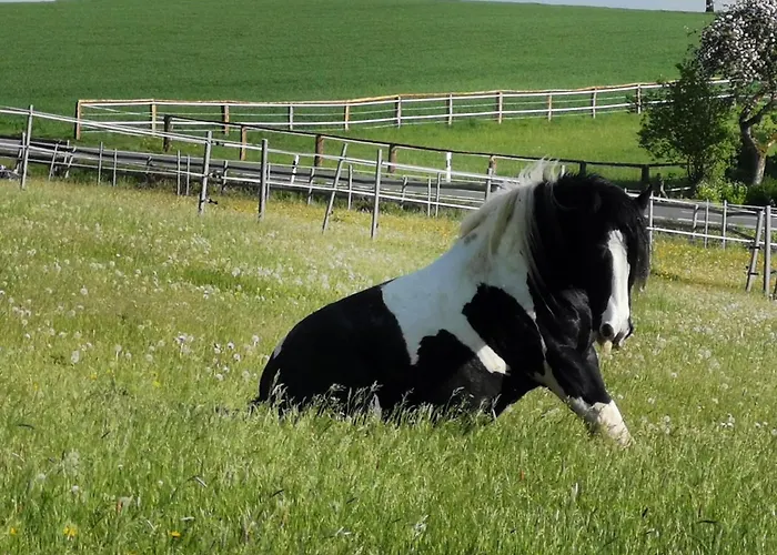 Lavendelmond Glamping Luksusowy namiot Barntrup