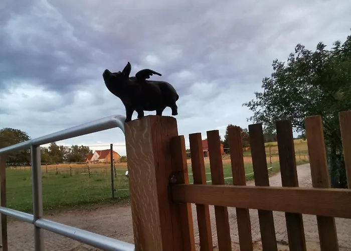 Lavendelmond Glamping Glamping *