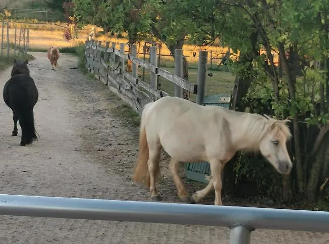 Lavendelmond Glamping Barntrup